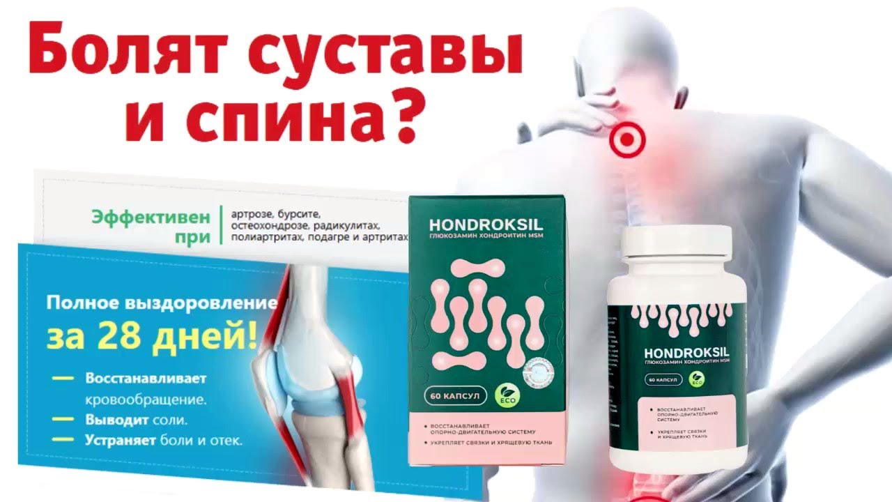 Состав капсул Hondroksil
